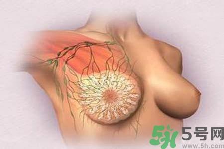 乳头发黑怎么办?怎么样可以使乳头变白?