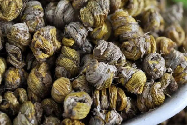 石斛的价格是多少钱一斤 石斛哪里的产地最好