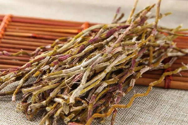 石斛的价格是多少钱一斤 石斛哪里的产地最好