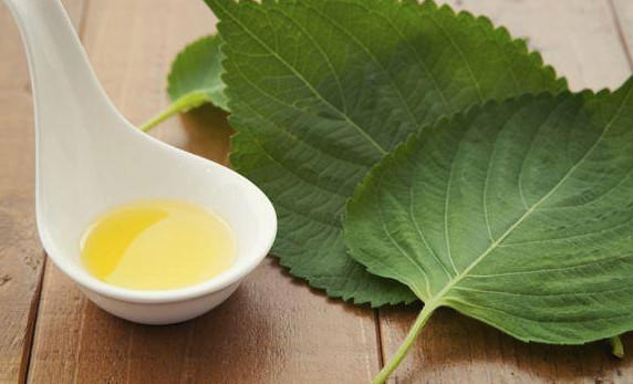 饮食金字塔结构图片正着吃还是倒着吃