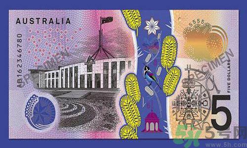 新版5澳元为什么被吐槽？新版5澳元是多少钱？