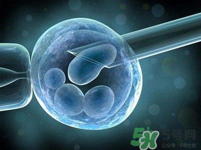 女性排卵全过程图解 排卵有什么症状或感觉