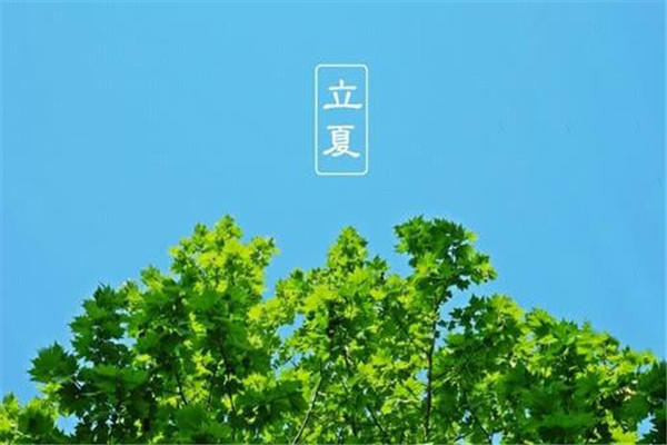 立夏风俗吃什么 立夏怎么吃好