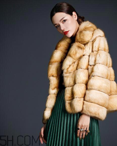 裘皮大衣是什么动物皮？裘皮大衣怎么保养？