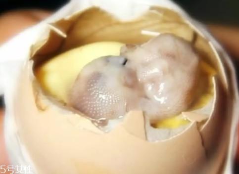 鸡仔胎怎么煮?鸡仔胎这样做更美味