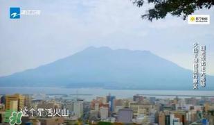 明治胶原蛋白粉怎么吃？明治胶原蛋白粉用法用量