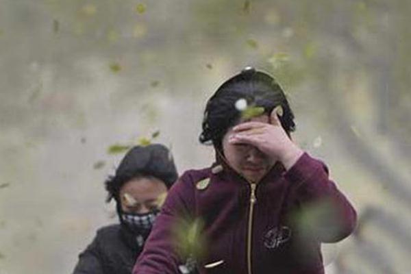 邯郸突发大风 大风天气安全防范措施
