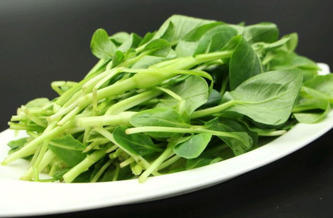 鸡毛菜是什么菜?鸡毛菜是小白菜吗