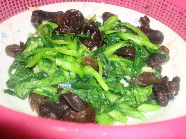 鸡毛菜是什么菜？鸡毛菜是小白菜吗