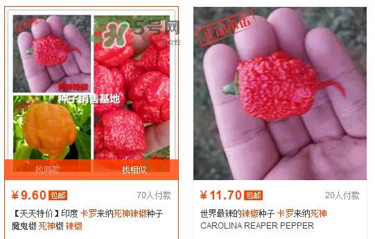 卡罗莱纳死神辣椒中国有吗?死神辣椒哪里有卖