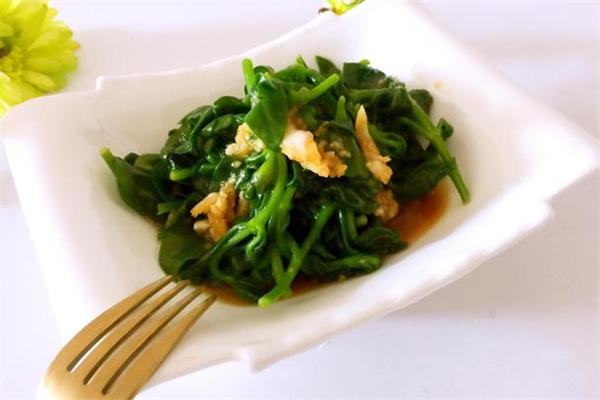 穿心莲怎么吃 穿心莲的家常做法