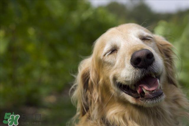 笑气是什么？笑气是毒品吗？