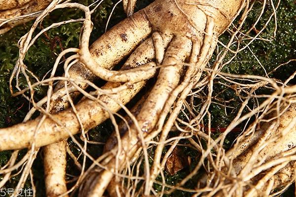 野山参怎么吃 这样吃效果最好