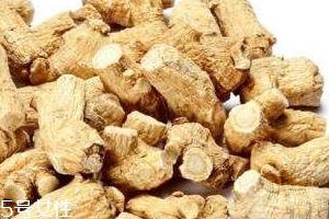 西洋参是哪里产的?长白山为主要产地