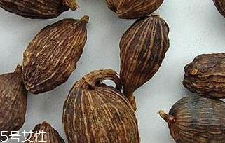 罂粟籽和大麻籽属于什么