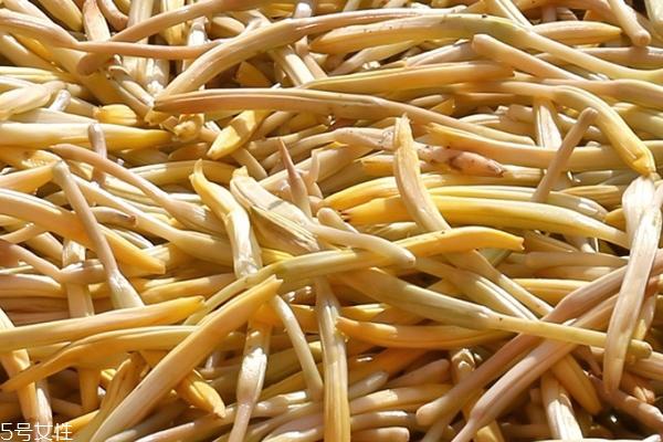 黄花菜有什么营养 营养多多