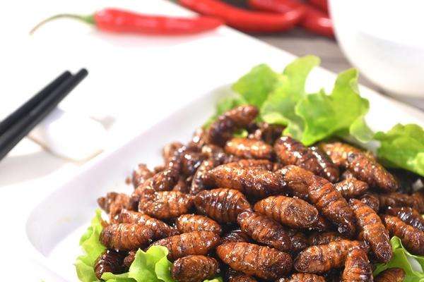 蚕蛹的做法 这样做最好吃