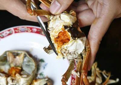 阳澄湖大闸蟹怎么吃？食阳澄湖大闸蟹注意事项