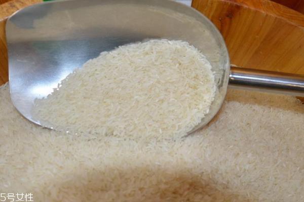 大米生虫子怎么办 这样灭虫