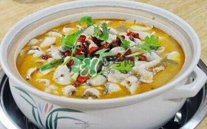 酸菜鱼是哪个地方的菜?酸菜鱼是什么鱼?