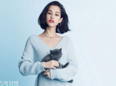 兰芝限量版睡眠面膜怎么样 兰芝限量版睡眠面膜专柜价格