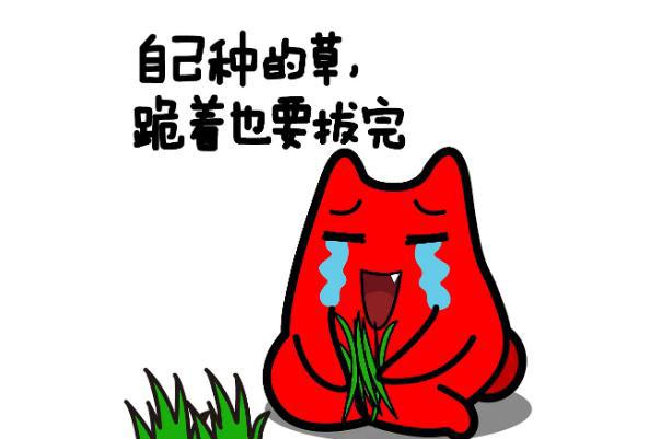 种草是什么意思 种草和安利区别