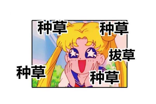 种草是什么意思 种草和安利区别