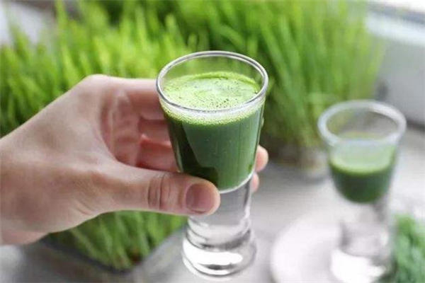 道田青汁能减肥吗 道田青汁效果怎么样