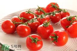 怎样种植小番茄?小番茄怎么种