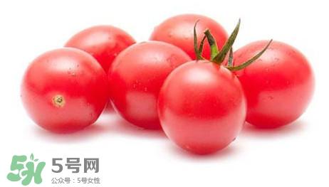 怎样种植小番茄?小番茄怎么种