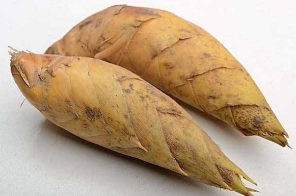 冬笋的功效和作用 冬笋每斤40元价格贵过肉