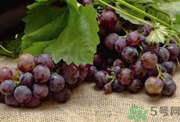 吃提子可以喝牛奶吗?提子能和牛奶一起吃吗?