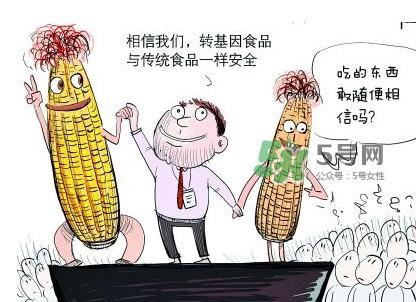 杂交水稻是不是转基因?转基因食品有哪些?