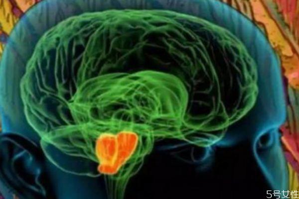 爱情是多巴胺的产物吗 多巴胺是怎么产生的呢