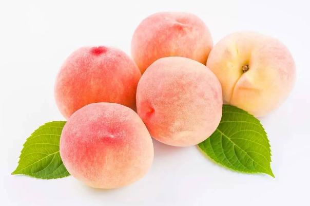 水蜜桃的功效与作用 水蜜桃有哪些营养价值