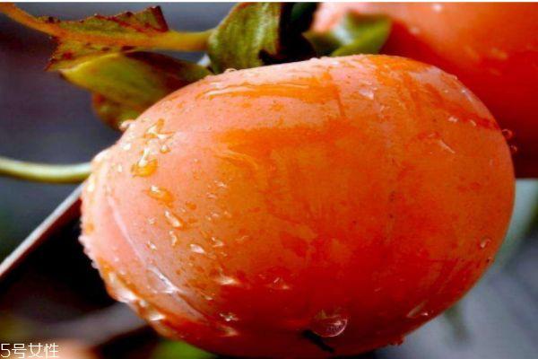 柿子的热量高吗 柿子的热量有多少呢