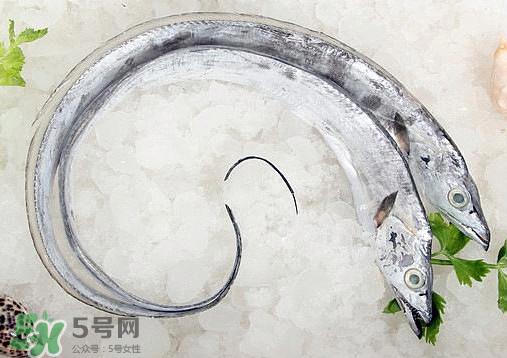 带鱼是深海鱼吗?带鱼是海鲜吗