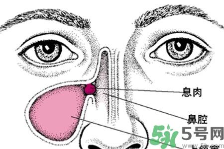 鼻子红是什么原因？鼻子红怎么办？