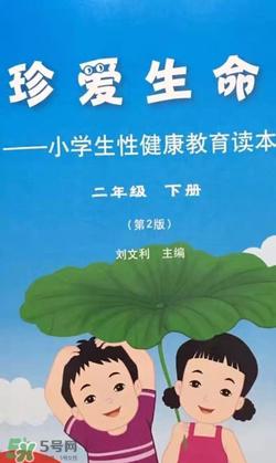 孩子浏览成人网站怎么办？小学性教育有没有必要？