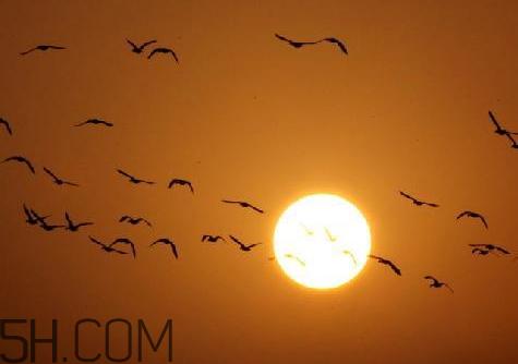 2018年天气什么时候回暖 2018年什么时候升温