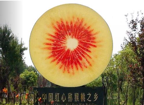 红心猕猴桃是哪里产的 红心猕猴桃产地