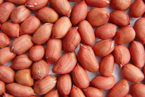 盐水煮花生的做法是什么 盐水煮花生这样做