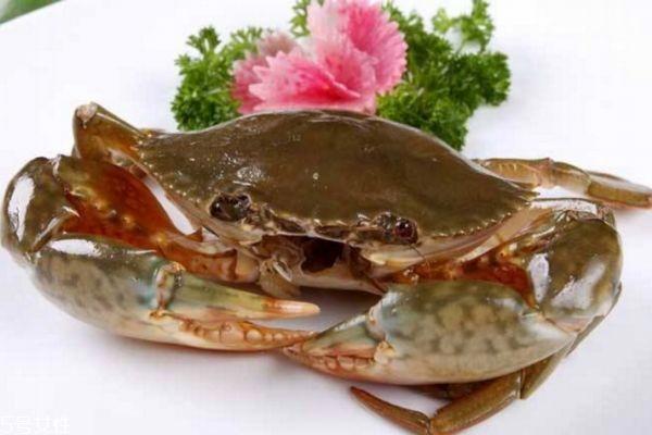 三门青蟹怎么做好吃 三门青蟹的做法
