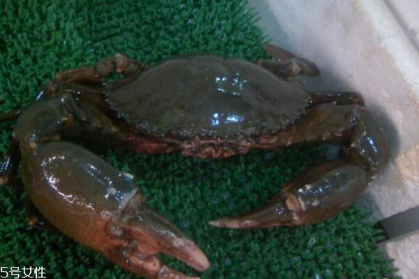 三门青蟹怎么做好吃 三门青蟹的做法