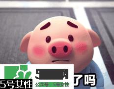 猪小屁多少钱一个？猪小屁哪里可以买到