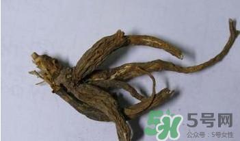 土瓜根是什么?土瓜根粉哪里有卖的?