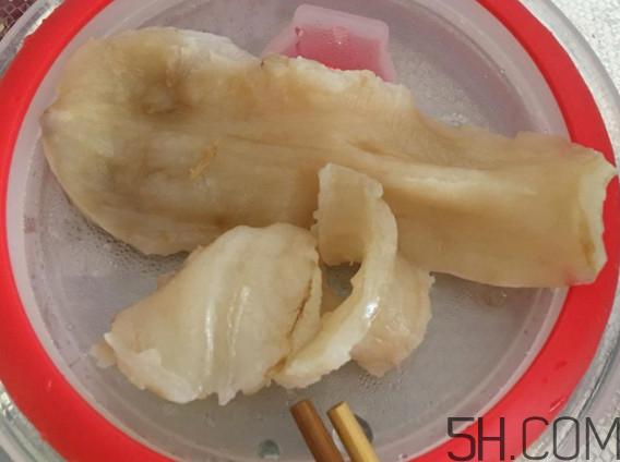 鱼胶是鱼泡吗?鱼胶是海鲜吗