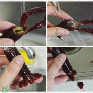 小龙虾怎么做好吃 小龙虾的做法大全