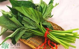 苕尖怎么炒?苕尖的做法