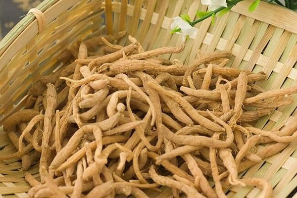 太子参的价格多少钱一斤 太子参买什么样的好